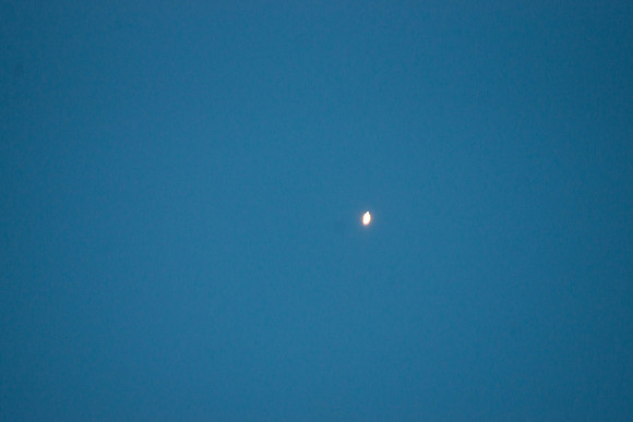 DSC05650