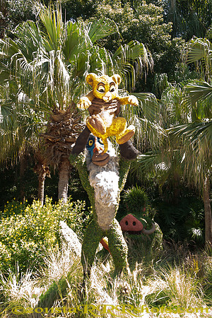 DSC00072