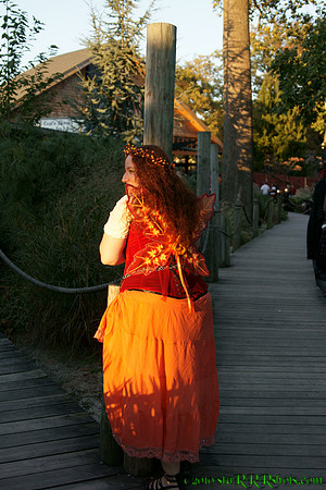 DSC09991