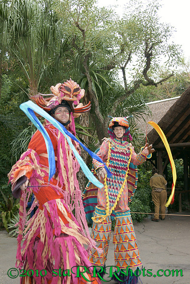 DSC03183