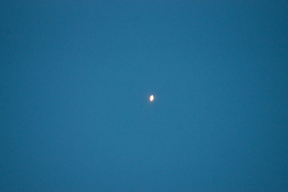 DSC05652