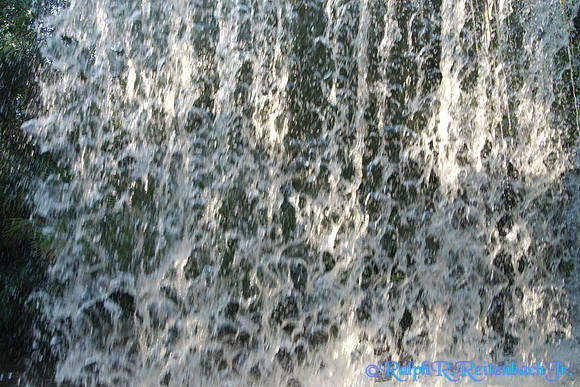 DSC08404