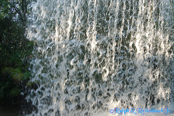 DSC08402