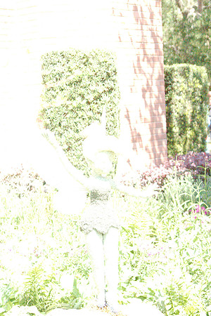 DSC03603