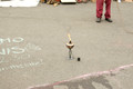 DSC07487