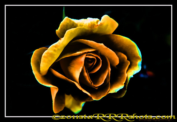 DSC06993J