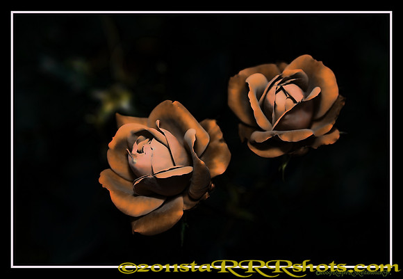 DSC06970I