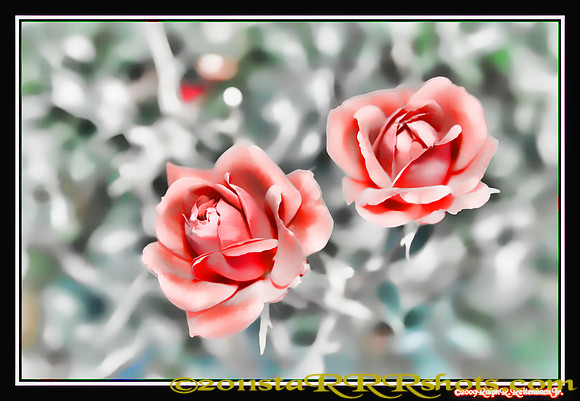DSC06970B