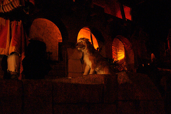DSC00240