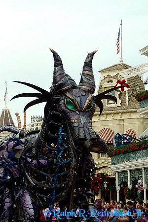 DSC05425