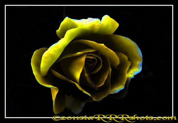DSC06993D