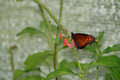 DSC03139