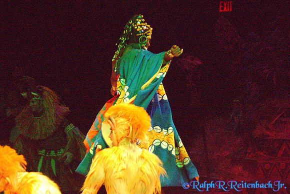 DSC01901