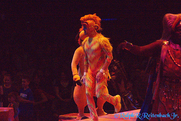 DSC01908