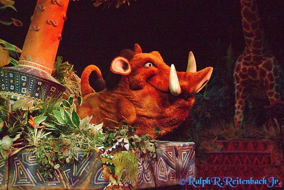 DSC00015