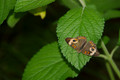 DSC03150