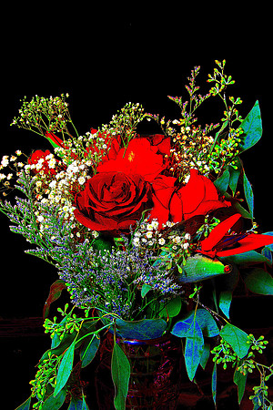 DSC01124-2-2_pead