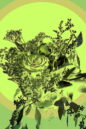 DSC01124-2-2_peaf