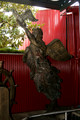DSC00023.JPG