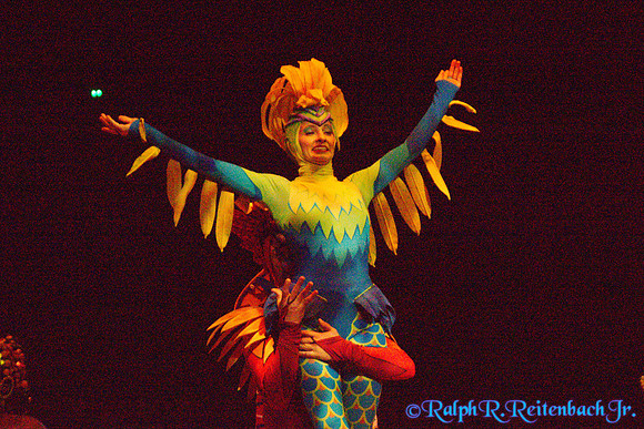 DSC01887