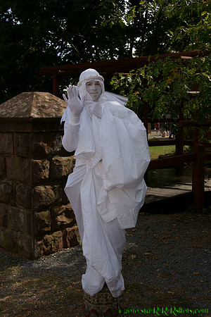 DSC08954