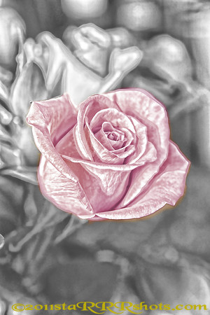 Image3L