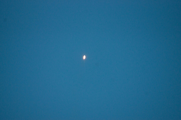 DSC05646