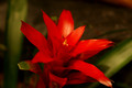 DSC00137