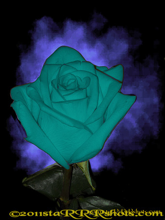 DSCN0292CTeal