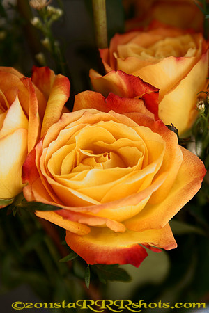 DSC09585