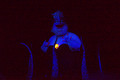DSC05177