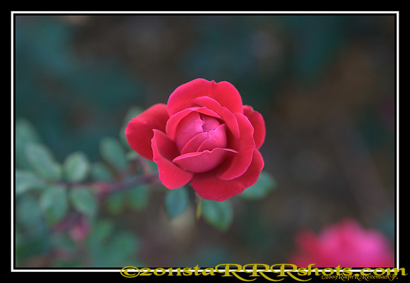 DSC06966