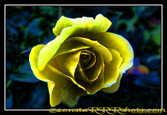 DSC06993M