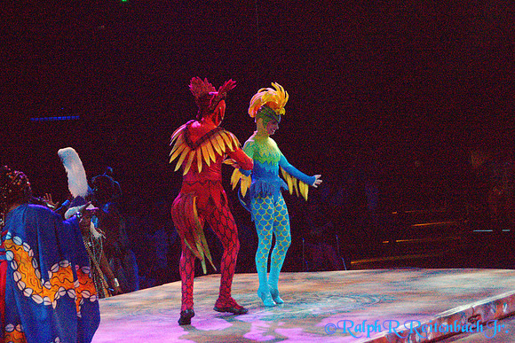DSC01990