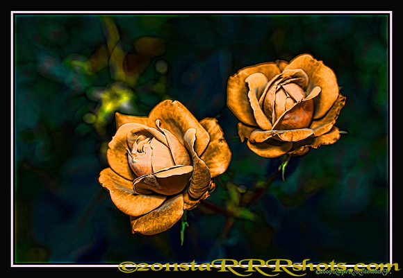 DSC06970F