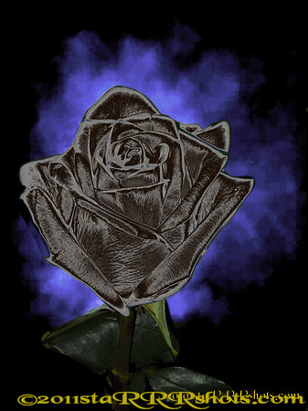DSCN0292C dkgrey