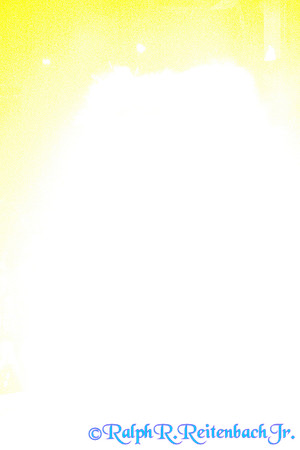DSC01811