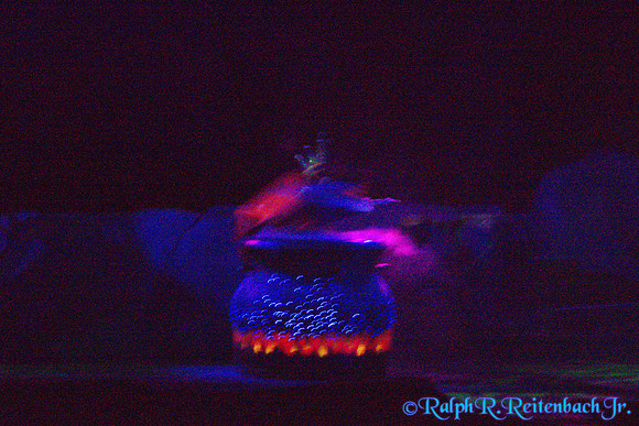 DSC06261