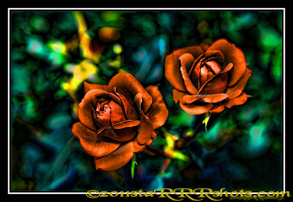 DSC06970E