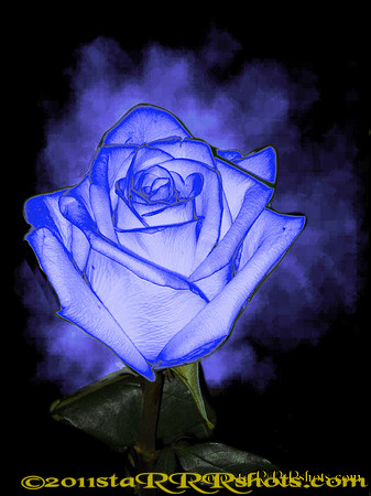 DSCN0292C4