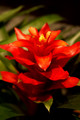 DSC00140