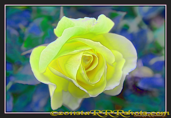 DSC06993C
