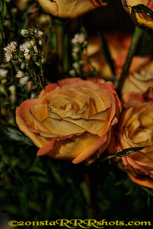 DSC09630Spicify