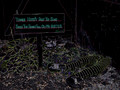 DSCN0225-2