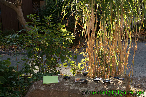 DSC09818