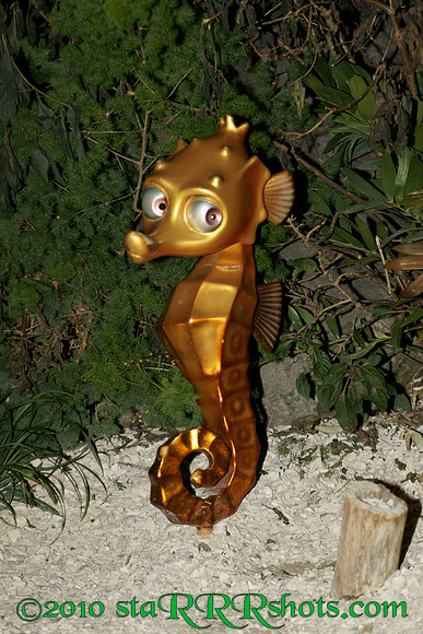 DSC02958