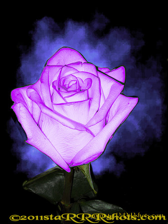 DSCN0292C3