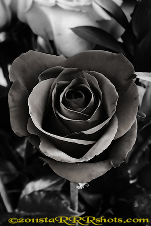 Image2O