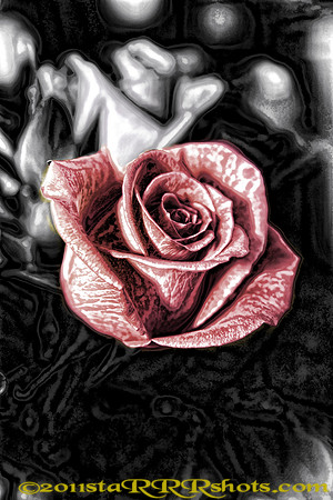 Image3N