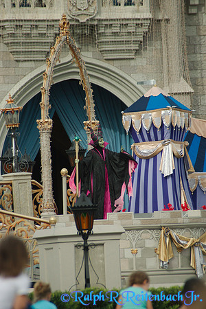 DSC06461